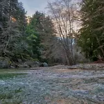 Fernwood Resort