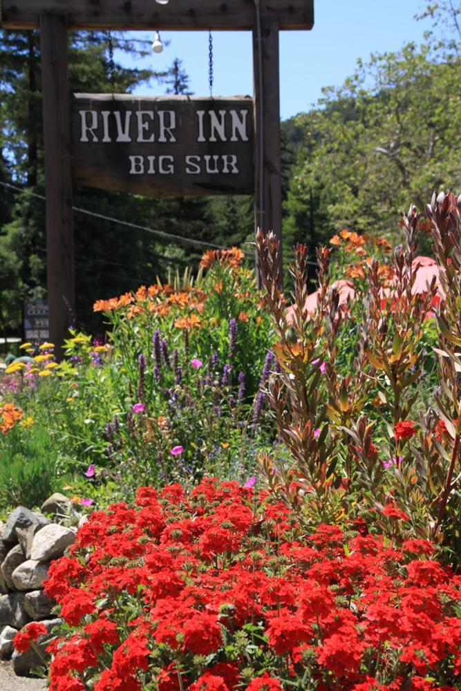 River Inn 3*